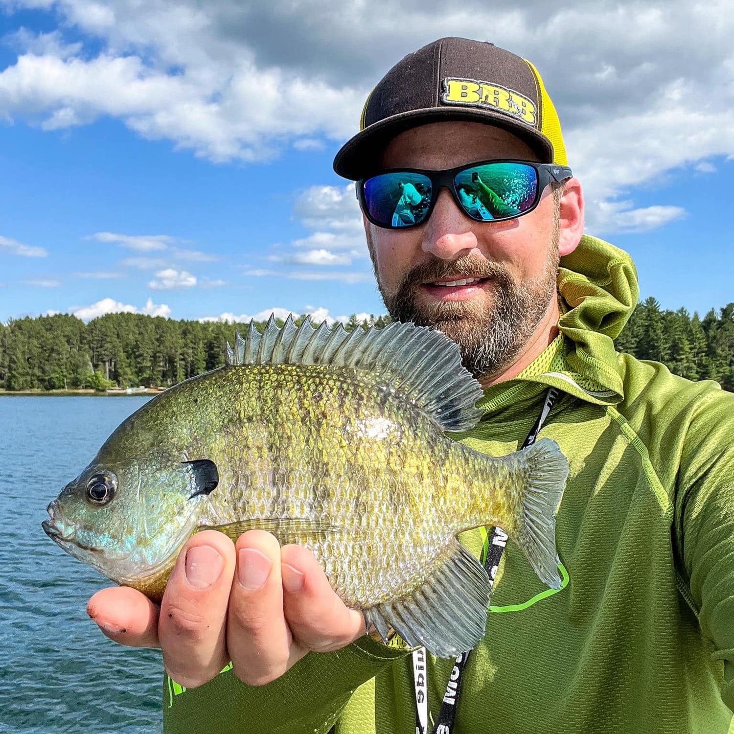 Panfish Baits