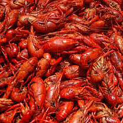 Crawfish Scented Fish Attractant